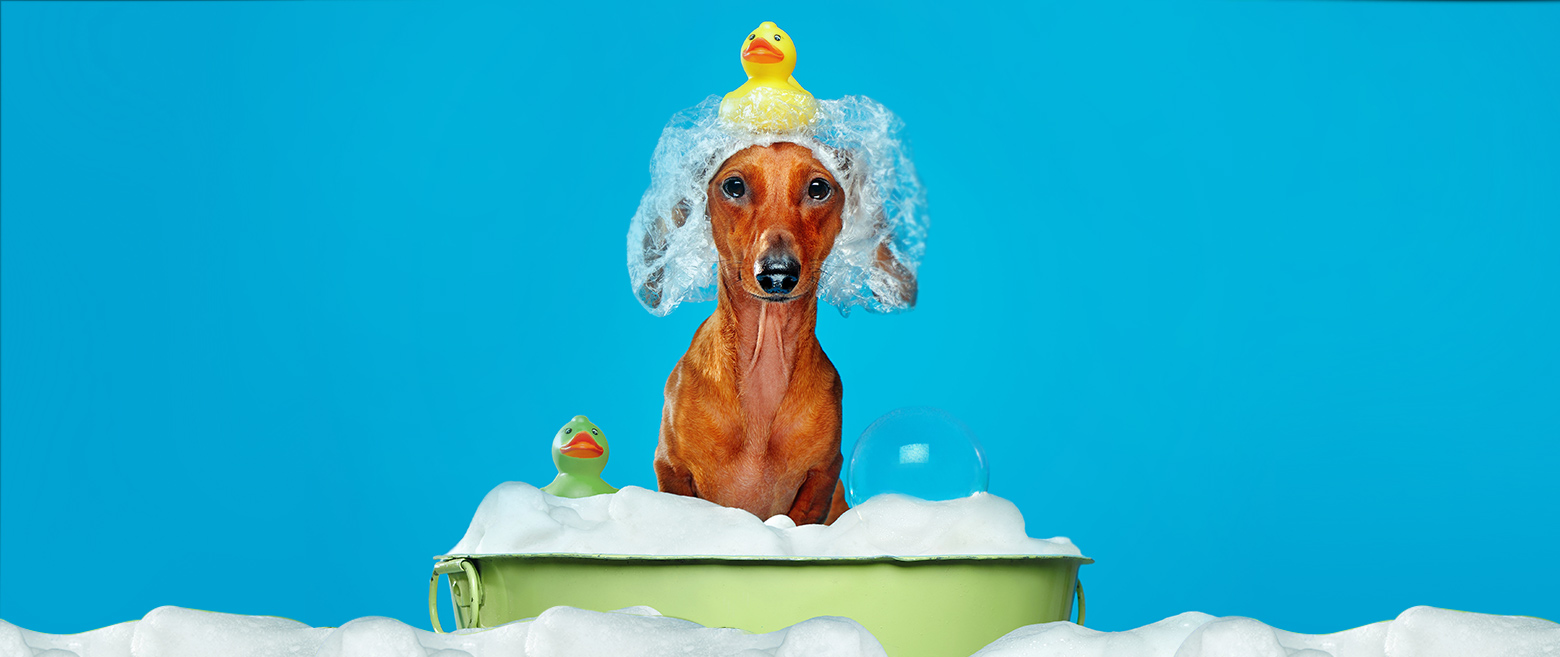 Tax Treatment of Day Trading Losses and Wash Sales